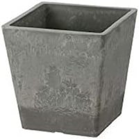 ���b�`�F���@�{�^�j�[�@�X�N�G�A�|�b�g�@�P�O�^�@�k�f�@�A�ؔ��@�v���X�`�b�N