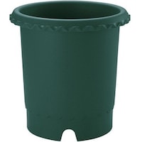 ���b�`�F���@�o�����@�P�O���@�c�f�@�A�ؔ��@�o���p