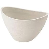 ���b�`�F���@�{�^�j�[�@�o���J�{�[���@�Q�T�^�@�v�@�A�ؔ��@�v���X�`�b�N