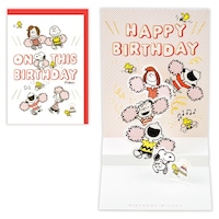 �z�[���}�[�N�@���a���j�J�[�h���̃X�k�[�s�[�|���|���o�[�X�f�@�P�Z�b�g�i�U�����j