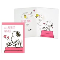 �z�[���}�[�N�@���ړI�J�[�h���̃X�k�[�s�[�t�u�^�C�v���C�^�[�@�P�Z�b�g�i�U�����j