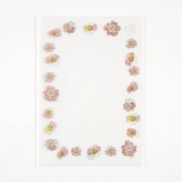 �_�C�S�[�@�t���[���f�p�s�G�@�N���A�t�@�C���@�t�����[�t���[���A�[�g�@�s���N�~�P�T