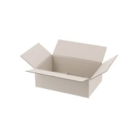 �V���W�}�@�_���{�[���@�X�����@�Q�O��