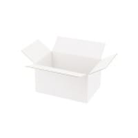 �V���W�}�@���_���{�[���@�`�T�p�P�R�O�@�X�����P���i�Q�O���j�~�R�Z�b�g