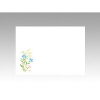 カミイソ産商 テーブルマット 上質104 秋の草花 ※3袋以上から注文可能(販売価格は1袋単位の価格)