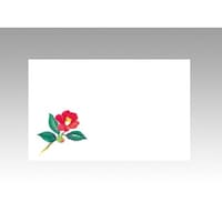 �J�~�C�\�Y���@�e�[�u���}�b�g�@�㎿�P�P�T�@���ց@�J�~�C�\�Y���@���R�܈ȏォ�璍���\�i�̔����i�͂P�ܒP�ʂ̉��i�j