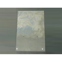 ベルグリーンワイズ 平袋(青果) FG20#120×750穴2 P入