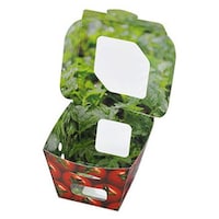 �G�t�s�R�`���[�p�@�t���[�c�e��@���x�W�W�T�p�@�g�}�g�@�e�l�r�~�P�Q