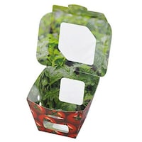 �G�t�s�R�`���[�p�@�t���[�c�e��@���x�W�X�O�p�@�g�}�g�@�e�l�r�~�P�Q