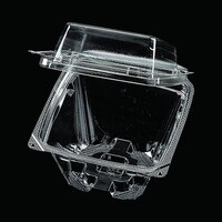 エフピコチューパ フルーツ容器 APメロウ1010(74)×18