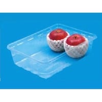 �M�a�@�t���[�c�e��@�t���[�c�R�O�O�~�U