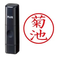 プラス 印鑑 ネーム印 ネームキューブ ブラック 菊池 (きくち) はんこ 浸透印