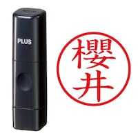 プラス 印鑑 ネーム印 ネームキューブ ブラック 櫻井 (さくらい) はんこ 浸透印
