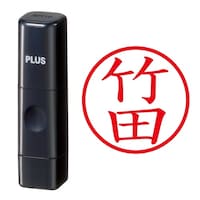 プラス 印鑑 ネーム印 ネームキューブ ブラック 竹田 (たけだ) はんこ 浸透印