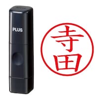 プラス 印鑑 ネーム印 ネームキューブ ブラック 寺田 (てらだ) はんこ 浸透印