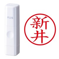 プラス 印鑑 ネーム印 ネームキューブ ホワイト 新井 (あらい) はんこ 浸透印