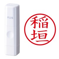 プラス 印鑑 ネーム印 ネームキューブ ホワイト 稲垣 (いながき) はんこ 浸透印