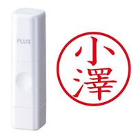 プラス 印鑑 ネーム印 ネームキューブ ホワイト 小澤 (おざわ) はんこ 浸透印
