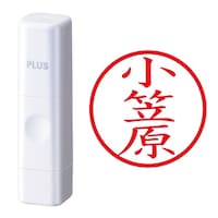 プラス 印鑑 ネーム印 ネームキューブ ホワイト 小笠原 (おがさわら) はんこ 浸透印