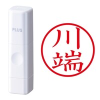 プラス 印鑑 ネーム印 ネームキューブ ホワイト 川端 (かわばた) はんこ 浸透印