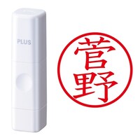 プラス 印鑑 ネーム印 ネームキューブ ホワイト 菅野 (すがの) はんこ 浸透印