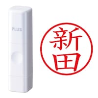 プラス 印鑑 ネーム印 ネームキューブ ホワイト 新田 (にった) はんこ 浸透印