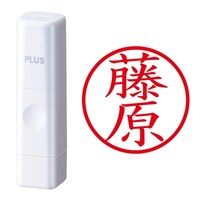 プラス 印鑑 ネーム印 ネームキューブ ホワイト 藤原 (ふじわら) はんこ 浸透印
