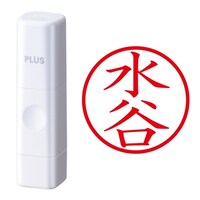 プラス 印鑑 ネーム印 ネームキューブ ホワイト 水谷 (みずたに) はんこ 浸透印