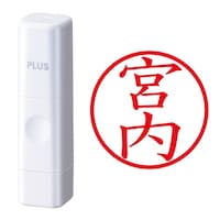 プラス 印鑑 ネーム印 ネームキューブ ホワイト 宮内 (みやうち) はんこ 浸透印
