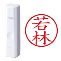 プラス 印鑑 ネーム印 ネームキューブ ホワイト 若林 (わかばやし) はんこ 浸透印