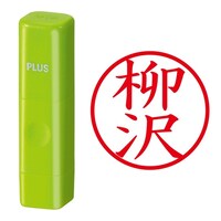 プラス 印鑑 ネーム印 ネームキューブ グリーン 柳沢 (やなぎさわ) はんこ 浸透印