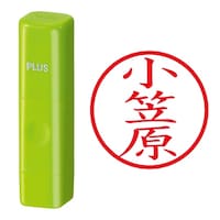 プラス 印鑑 ネーム印 ネームキューブ グリーン 小笠原 (おがさわら) はんこ 浸透印