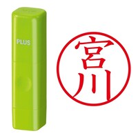 プラス 印鑑 ネーム印 ネームキューブ グリーン 宮川 (みやかわ) はんこ 浸透印