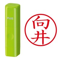 プラス 印鑑 ネーム印 ネームキューブ グリーン 向井 (むかい) はんこ 浸透印