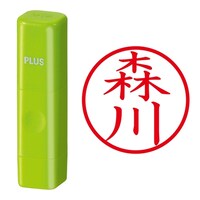 プラス 印鑑 ネーム印 ネームキューブ グリーン 森川 (もりかわ) はんこ 浸透印