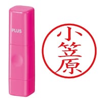 プラス 印鑑 ネーム印 ネームキューブ ピンク 小笠原 (おがさわら) はんこ 浸透印