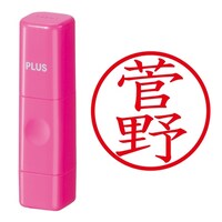 プラス 印鑑 ネーム印 ネームキューブ ピンク 菅野 (すがの) はんこ 浸透印