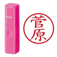 プラス 印鑑 ネーム印 ネームキューブ ピンク 菅原 (すがわら) はんこ 浸透印