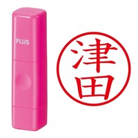 プラス 印鑑 ネーム印 ネームキューブ ピンク 津田 (つだ) はんこ 浸透印