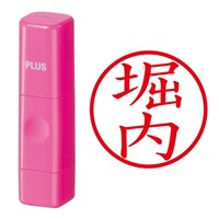 プラス 印鑑 ネーム印 ネームキューブ ピンク 堀内 (ほりうち) はんこ 浸透印