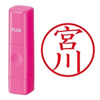 プラス 印鑑 ネーム印 ネームキューブ ピンク 宮川 (みやかわ) はんこ 浸透印