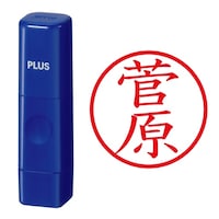 プラス 印鑑 ネーム印 ネームキューブ ブルー 菅原 (すがわら) はんこ 浸透印