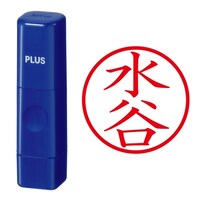 プラス 印鑑 ネーム印 ネームキューブ ブルー 水谷 (みずたに) はんこ 浸透印