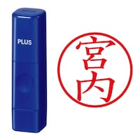 プラス 印鑑 ネーム印 ネームキューブ ブルー 宮内 (みやうち) はんこ 浸透印