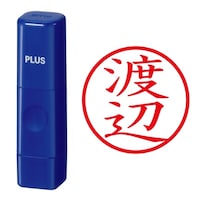 プラス 印鑑 ネーム印 ネームキューブ ブルー 渡辺 (わたなべ) はんこ 浸透印