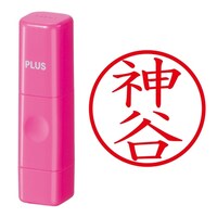 プラス 印鑑 ネーム印 ネームキューブ ピンク 神谷 (かみや) はんこ 浸透印