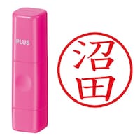 プラス 印鑑 ネーム印 ネームキューブ ピンク 沼田 (ぬまた) はんこ 浸透印