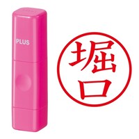 プラス 印鑑 ネーム印 ネームキューブ ピンク 堀口 (ほりぐち) はんこ 浸透印