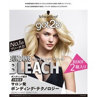 �w���P���@�f�n�s�Q�a�@�{���f�B���O�@�u���[�`�~�S