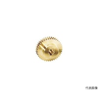 キョウイクハグルマ ウォームホイール